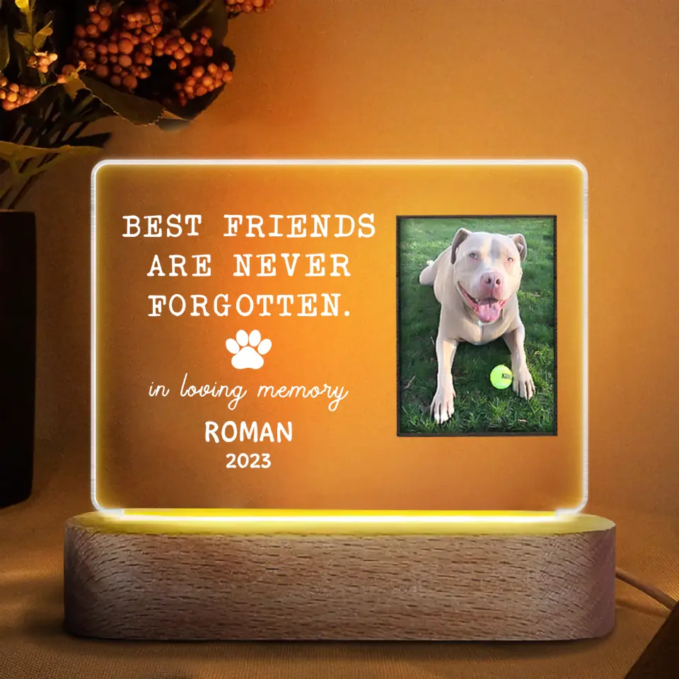 Personalized Acrylic LED Night Light - Gift For Dog Lover - Best Friends Are Never Forgotten