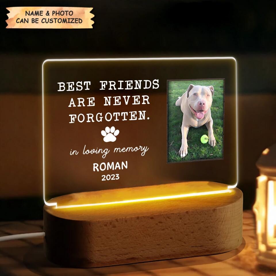 Personalized Acrylic LED Night Light - Gift For Dog Lover - Best Friends Are Never Forgotten