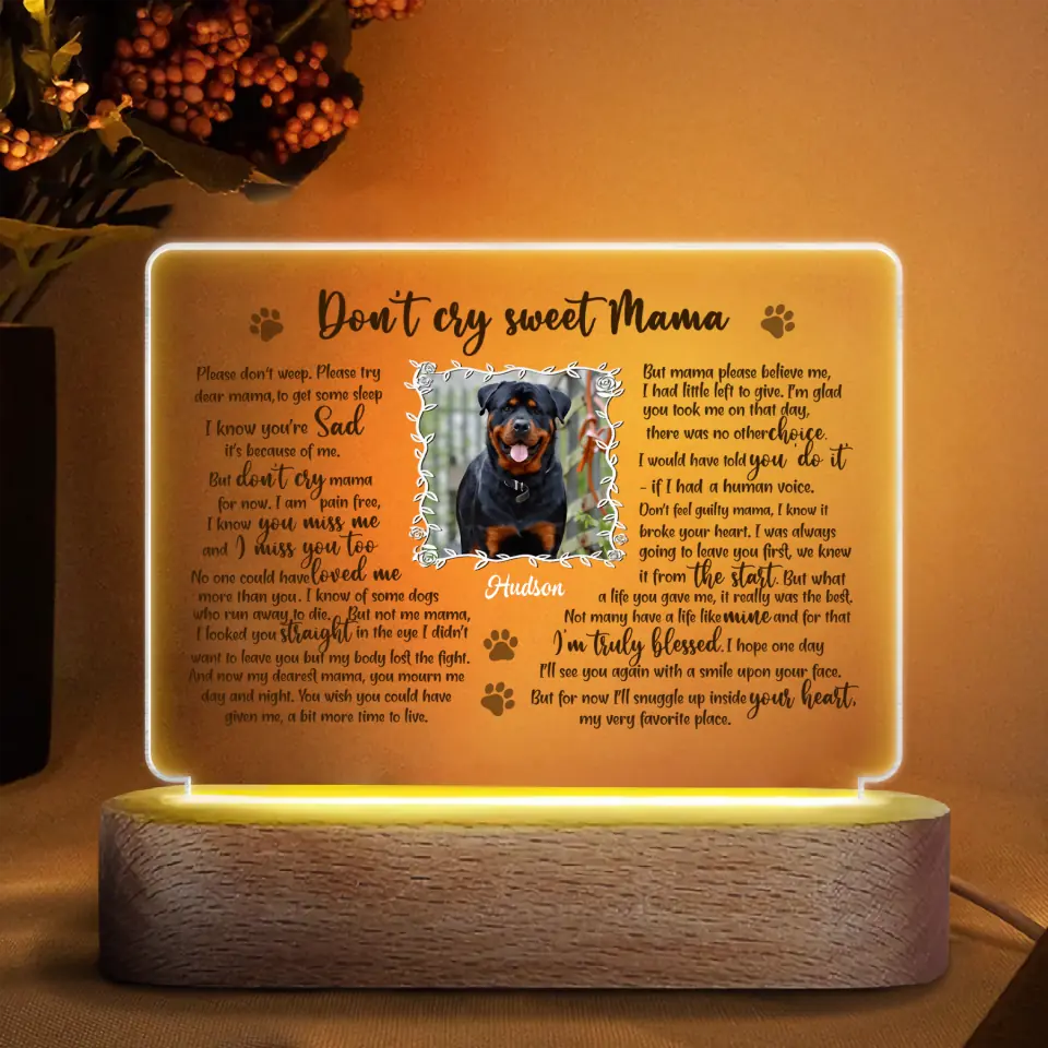 Personalized Acrylic LED Night Light - Gift For Dog Lover