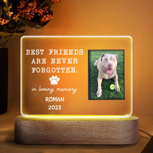 Personalized Acrylic LED Night Light - Gift For Dog Lover - Best Friends Are Never Forgotten